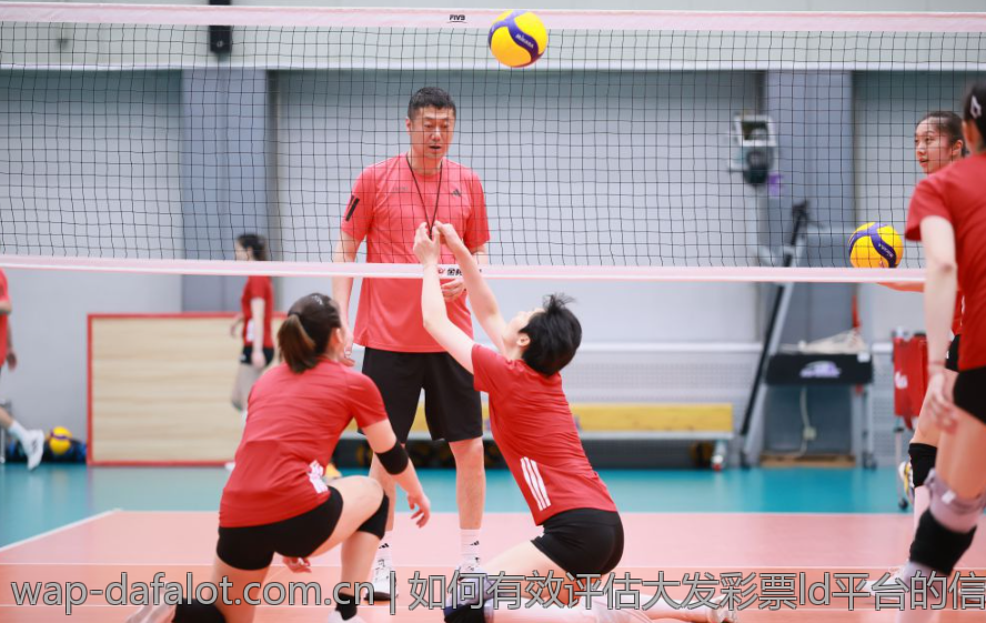 如何有效评估大发彩票ld平台的信誉