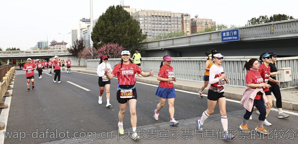 大发贵宾彩票与其他彩票的比较分析